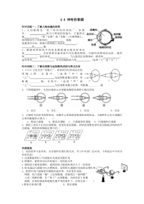 4.6神奇的眼睛练习题