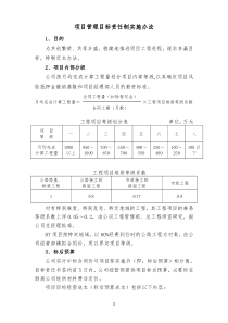 01-01--项目管理目标责任制实施办法