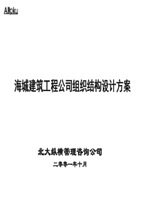 北大纵横-海城建筑工程公司组织结构设计方案