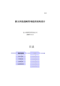 北大纵横：新太科技战略咨询组织结构设计.