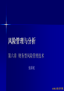 第六章  财务型风险管理技术