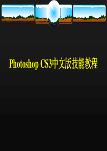 Photoshop CS3中文版技能教程-第4章 图像的绘制与修饰