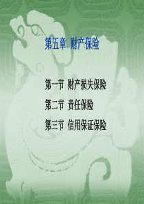 保险学(辅,5章)2014