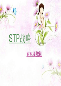 stp战略-第10组(京东商城).