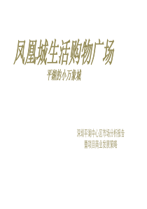 2015深圳平湖市场分析报告暨凤凰城生活购物广场商业发展策略58p