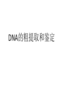 DNA的粗提取和鉴定