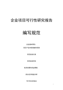 企业项目可行性研究报告范本解读