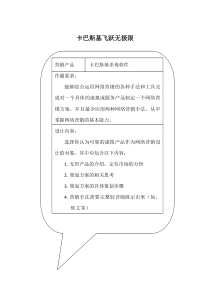 营销策划_卡巴斯基飞跃无极限网络营销