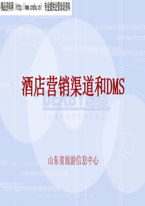 酒店营销渠道和DMS