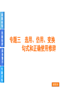 【浙江省专用】2014届高考语文二轮复习方案专题课件：专题三 选用、仿用、变换句式和正确使用修辞