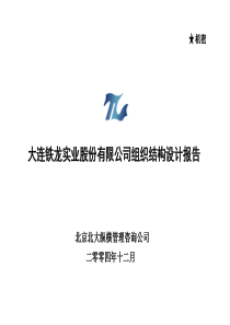 大连铁龙组织结构设计报告