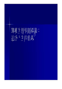 职业生涯规划导论 追求人生的意义 - 四川省电力公司_... (NXPowerLite).ppt