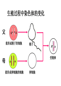 第三节基因的显性和隐性