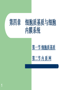 第六章 细胞质基质和内膜系统