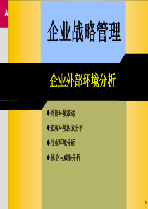 企业战略环境分析和竞争战略