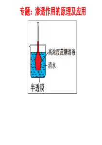 专题-渗透作用的原理及应用