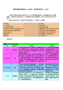 慢性阻塞性肺疾病评分(CAT)