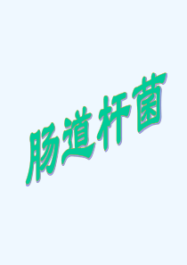 肠道杆菌课件