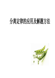 1.1-分离定律的应用及解题方法