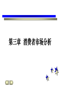 第三章―消费者市场分析