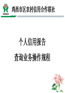 信用报告查询业务操作规程教程