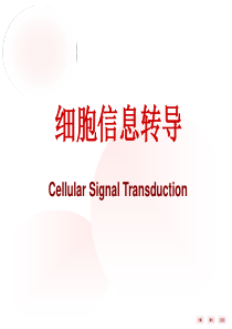 神经生理学-细胞信号转导