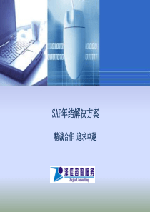 SAP年结解决方案v2