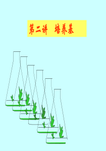 第二讲 植物组培的培养基