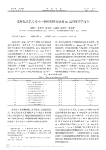 采用基因芯片检出一例丙型肝炎病毒3b基因亚型的报告