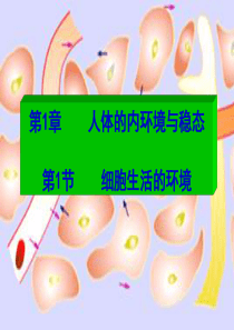 内环境以及稳态的 意义