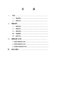 运动服装市场调研报告