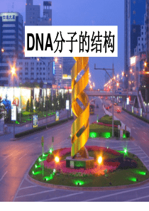 第三章第二节、DNA分子结构