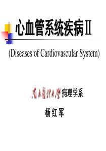 心血管系统疾病2-动脉粥样硬化&高血压