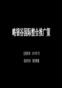 湖南长沙略银谷国际项目整合营销推广策略_68页