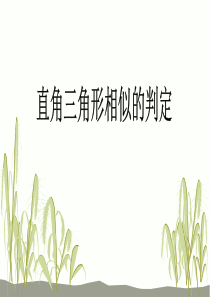 直角三角形相似的判定