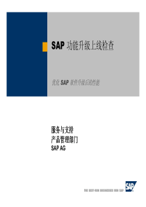 SAP 功能升级上线检查