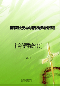 国家职业资格心理咨询师培训课程(2012版)社会心理学3