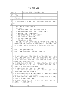 采购专项审计具体实施方案