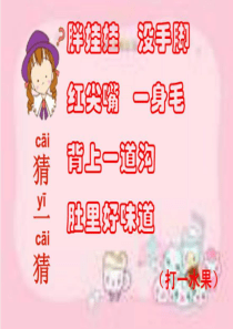 13.各式各样的水果.ppt_2