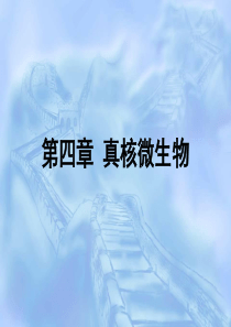 第4章 真核微生物