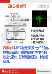 表面肌电图基础知识