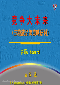 饮食酒料-《五粮液品牌策略研讨》精品资料下载(PPT 24页)