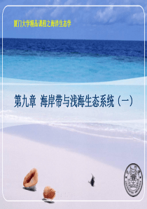 海岸带与浅海生态系统