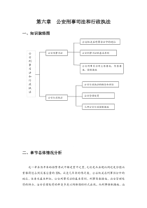 第六章  公安刑事司法和行政执法