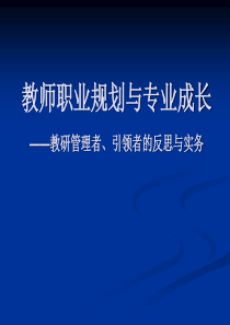 教师职业规划与专业成长