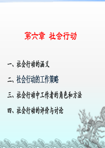 第六章_社会行动模式