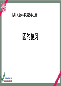 北师大版数学六年级上册《圆的复习》课件