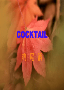 鸡尾酒酒吧酒类培训