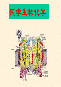 医学生物化学绪论