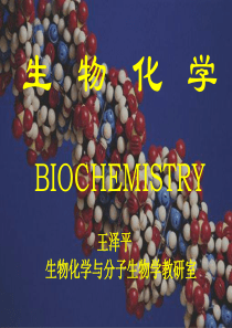 医学生物化学课件